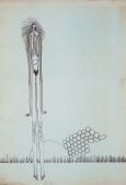 Csönd testek „B” sorozat, 1969, tus, papír, 30x21 cm